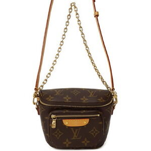 Louis Vuitton Monogram Bum Bag